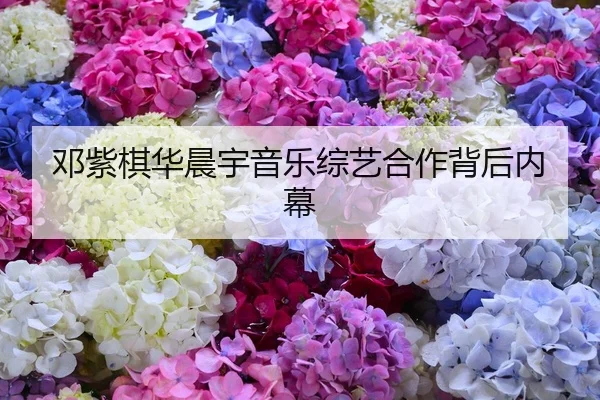 邓紫棋华晨宇音乐综艺合作背后内幕